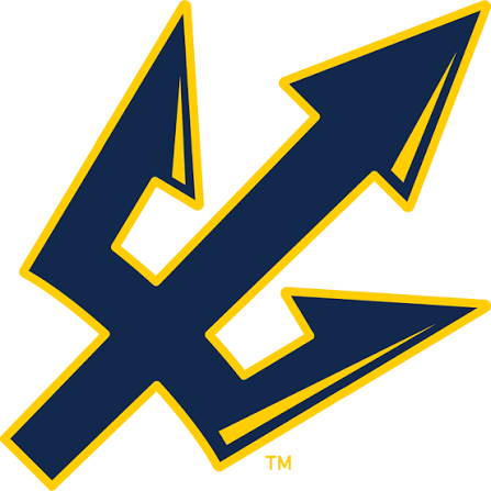 Triton Transit logo